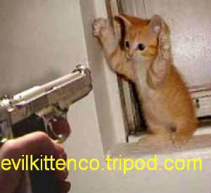 kitten-arrested1.jpg
